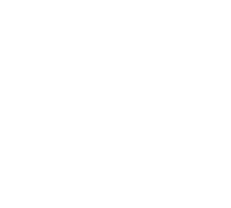 Car icon